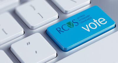 RCVS and VN Councils elections get underway